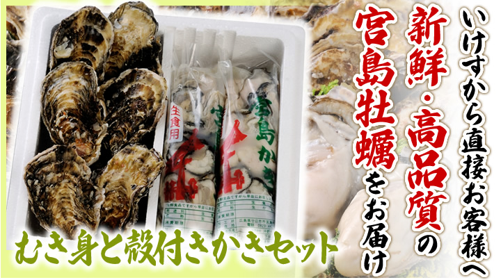 いけすから直接お客様へ　新鮮・高品質の宮島牡蠣をお届け