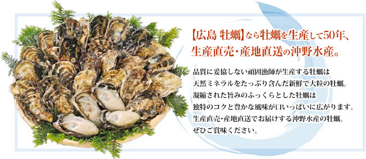 【広島 牡蠣】なら牡蠣を生産して45年、生産直売・産地直送の沖野水産。